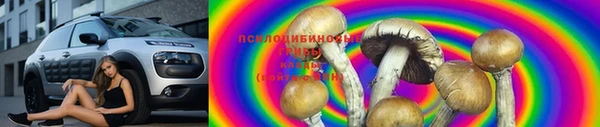 дживик Армянск