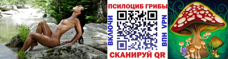 Галлюциногенные грибы Psilocybine cubensis Грязовец